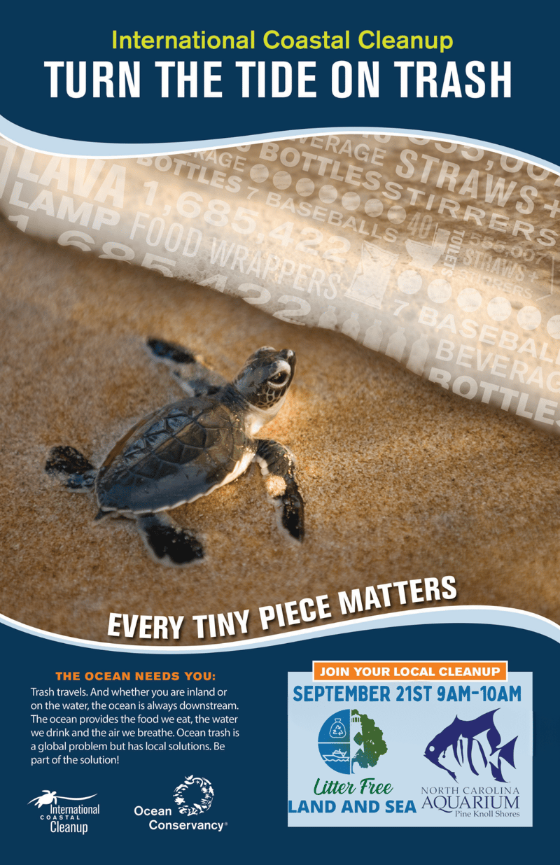 Cleanup Flyer_seaturtle - English.pdf